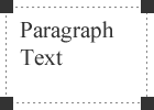 Paragraph Text