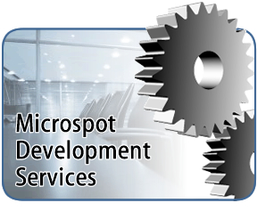 Development Services